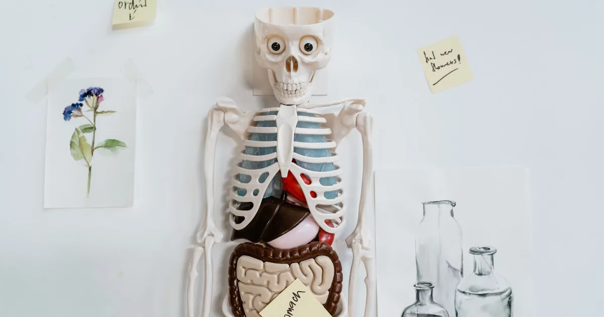 Thyroid and Weight Loss: Hypothyroidism & Obesity